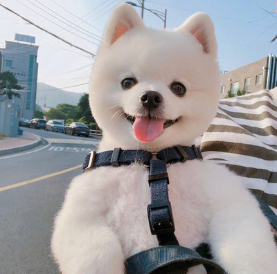 imToken钱包苹果版